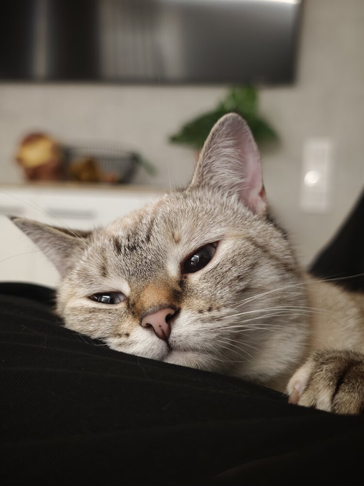 Photo #14054135
