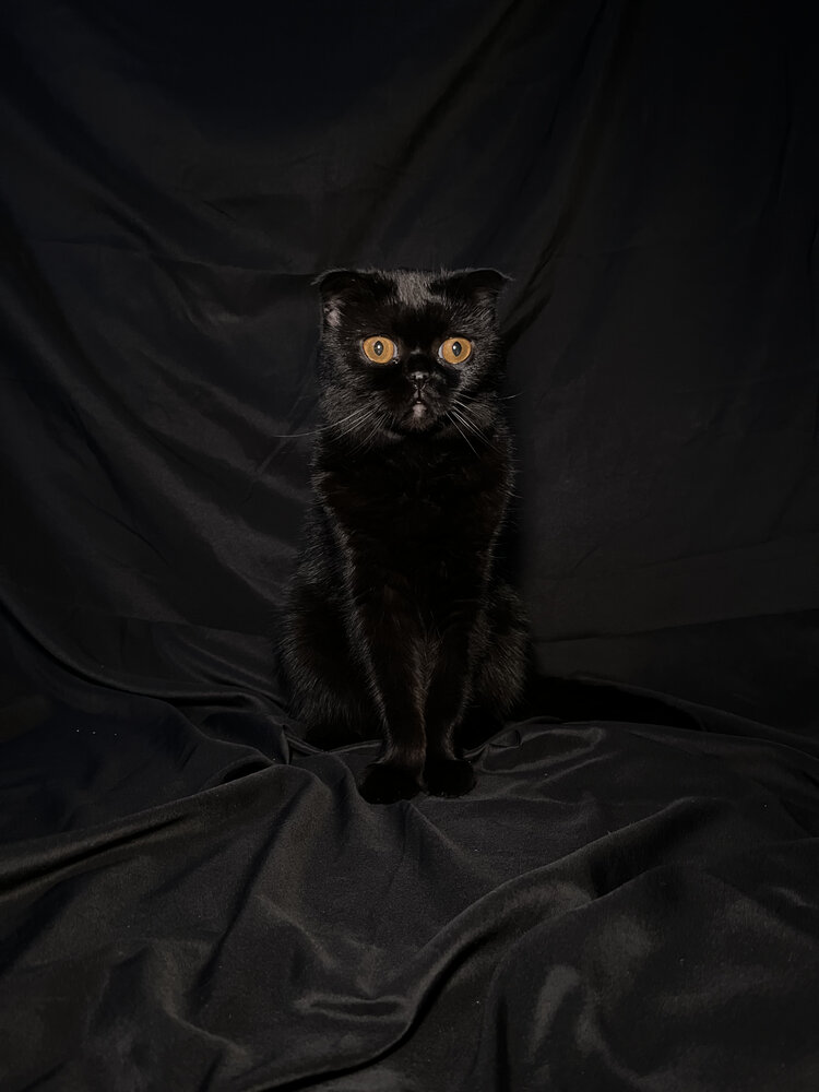 Photograph by Оксана Санькова