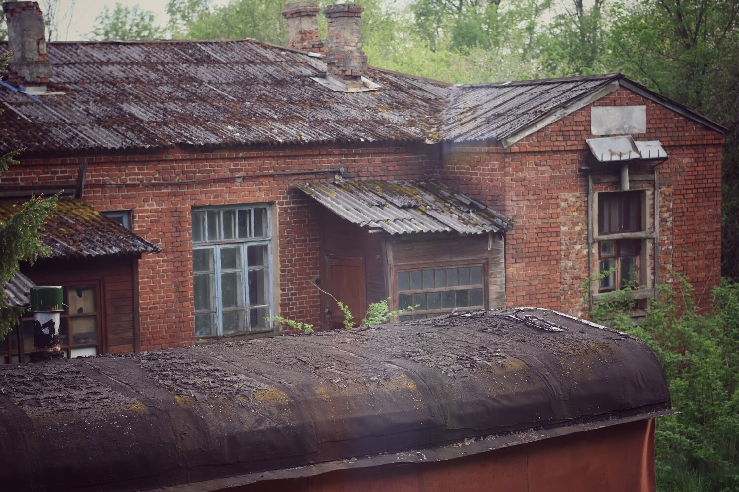 Photo #14054157