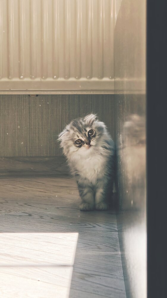 Photograph by Максим Сундеев