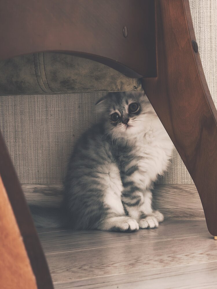 Photograph by Максим Сундеев