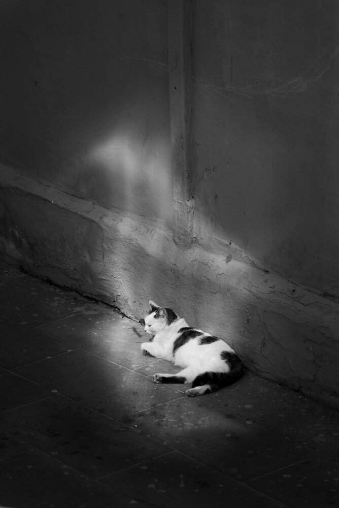 Фотография автора Марина Иванникова