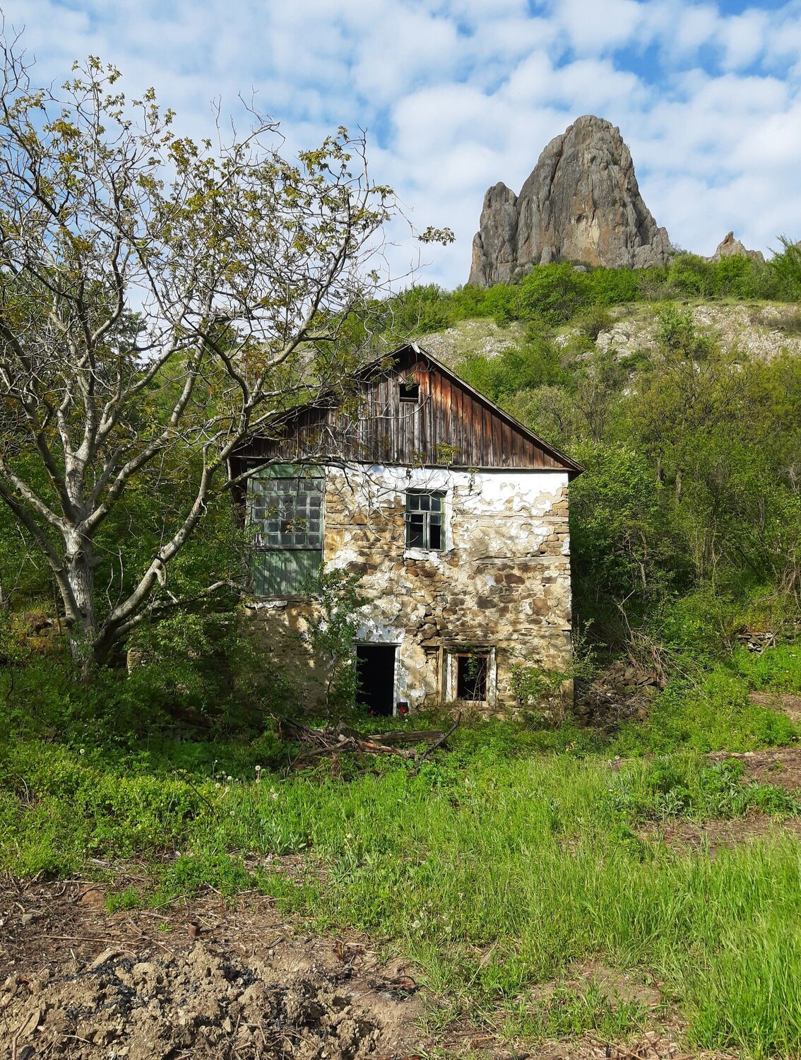 Photo #14054221