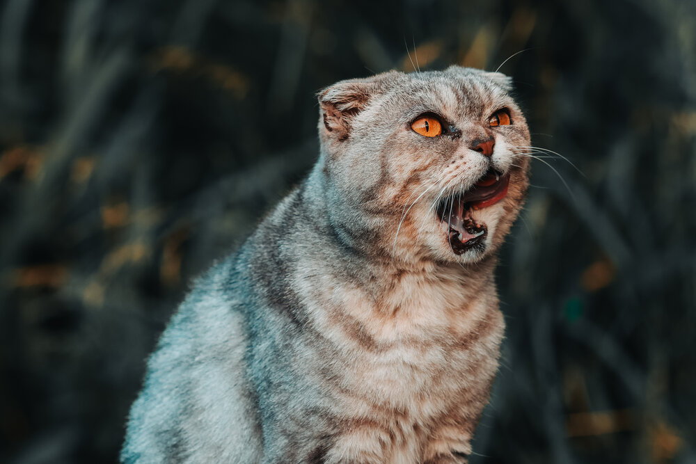 Photograph by Иван Павлов