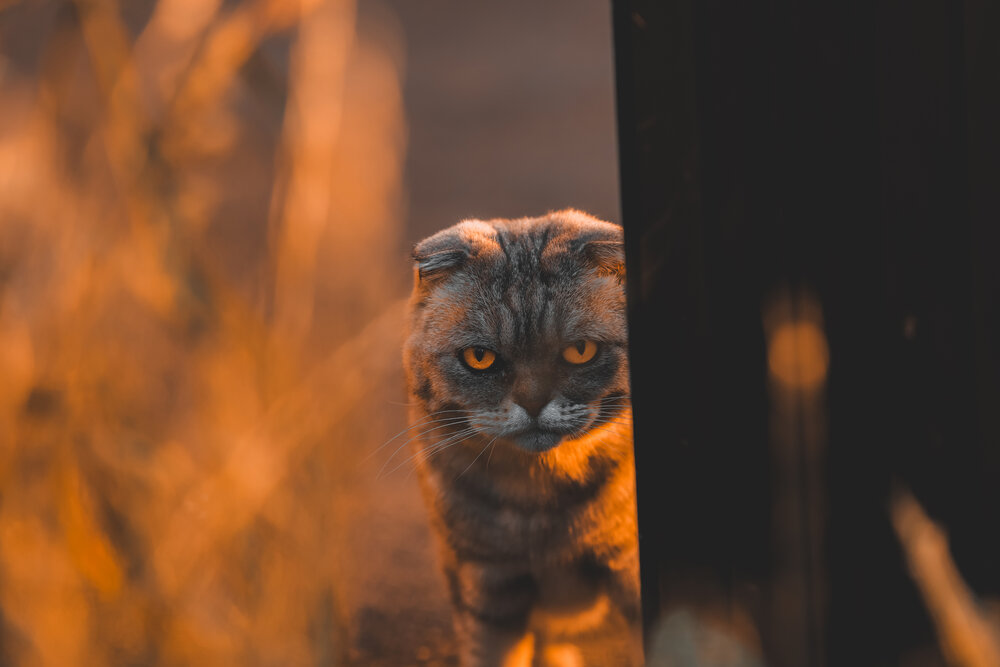 Photograph by Иван Павлов