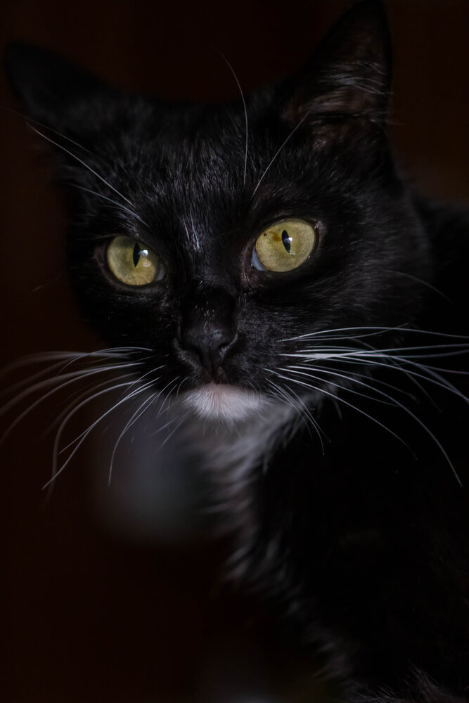 Photograph by Татьяна Байкова