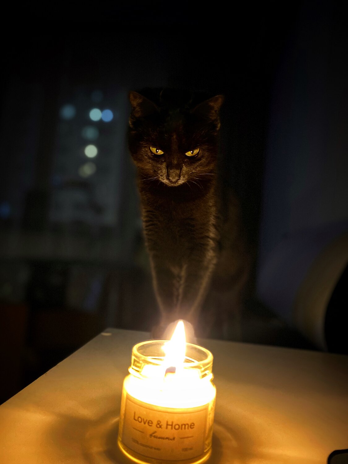 Photo #14054317