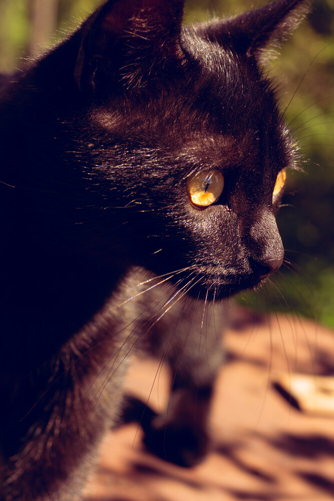 Photograph by Любовь Должикова