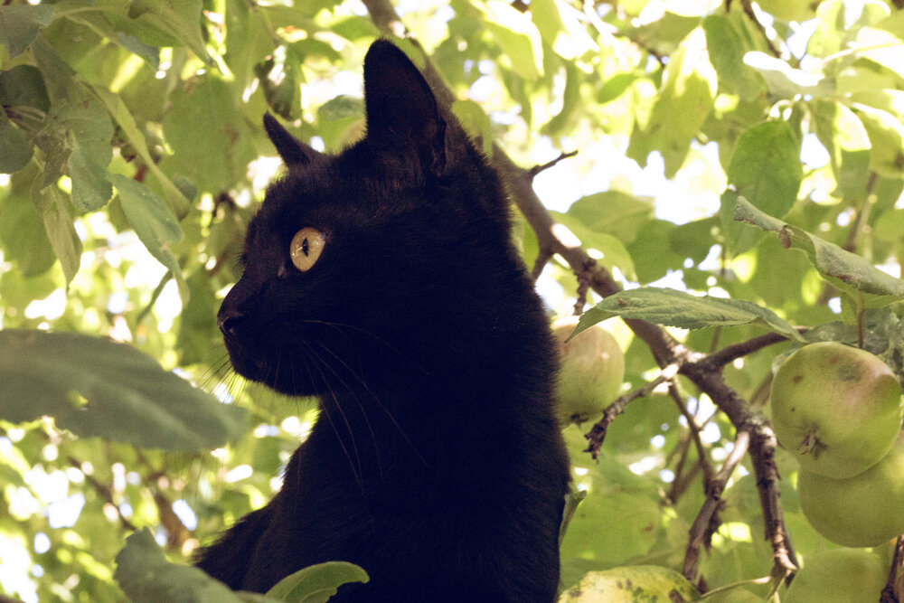 Photograph by Любовь Должикова