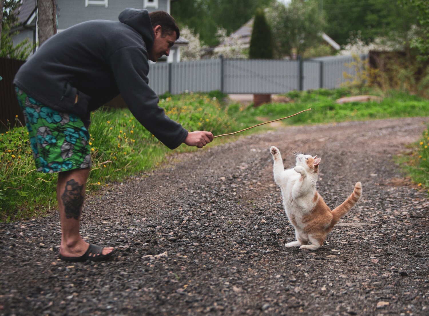 Photo #14054372