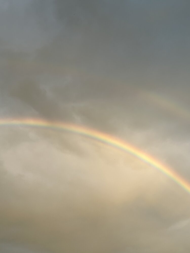Photograph by Любовь Должикова