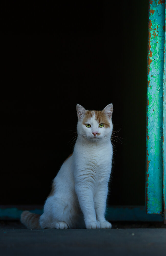 Photograph by Иван Павлов