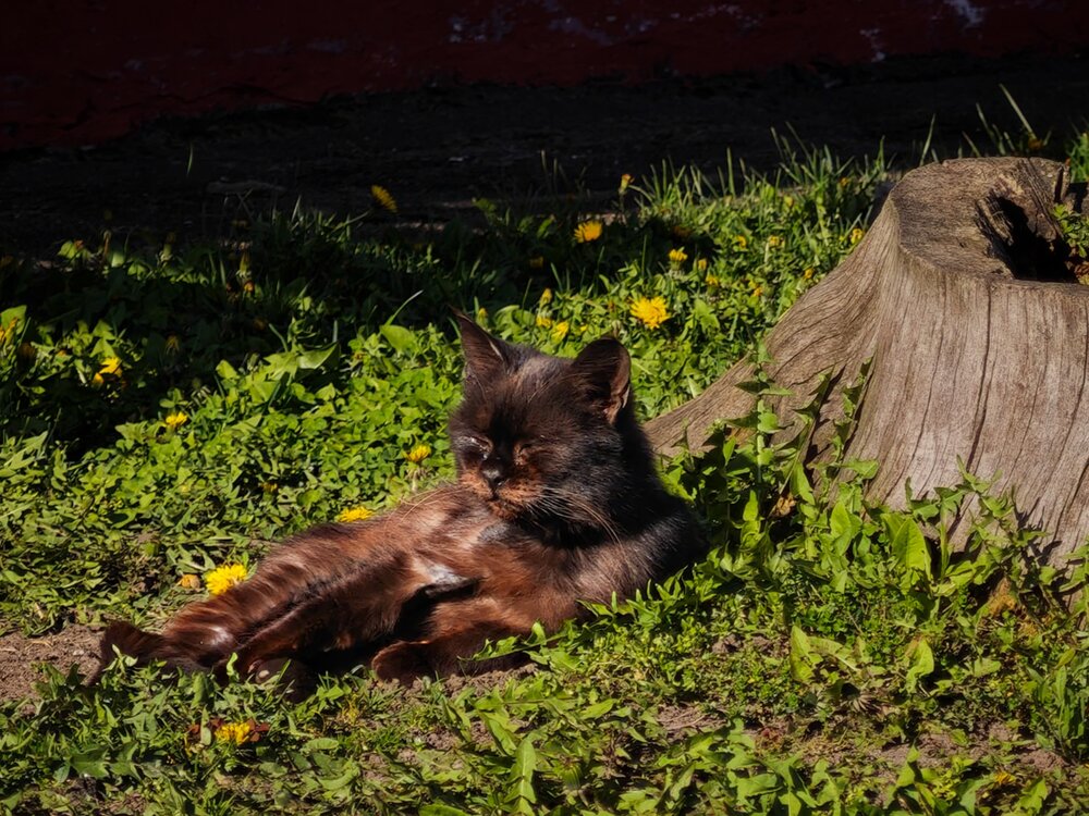 Photograph by Татьяна Соколовская