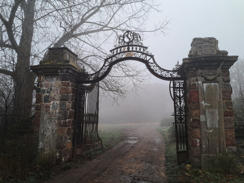 Photo #14054417