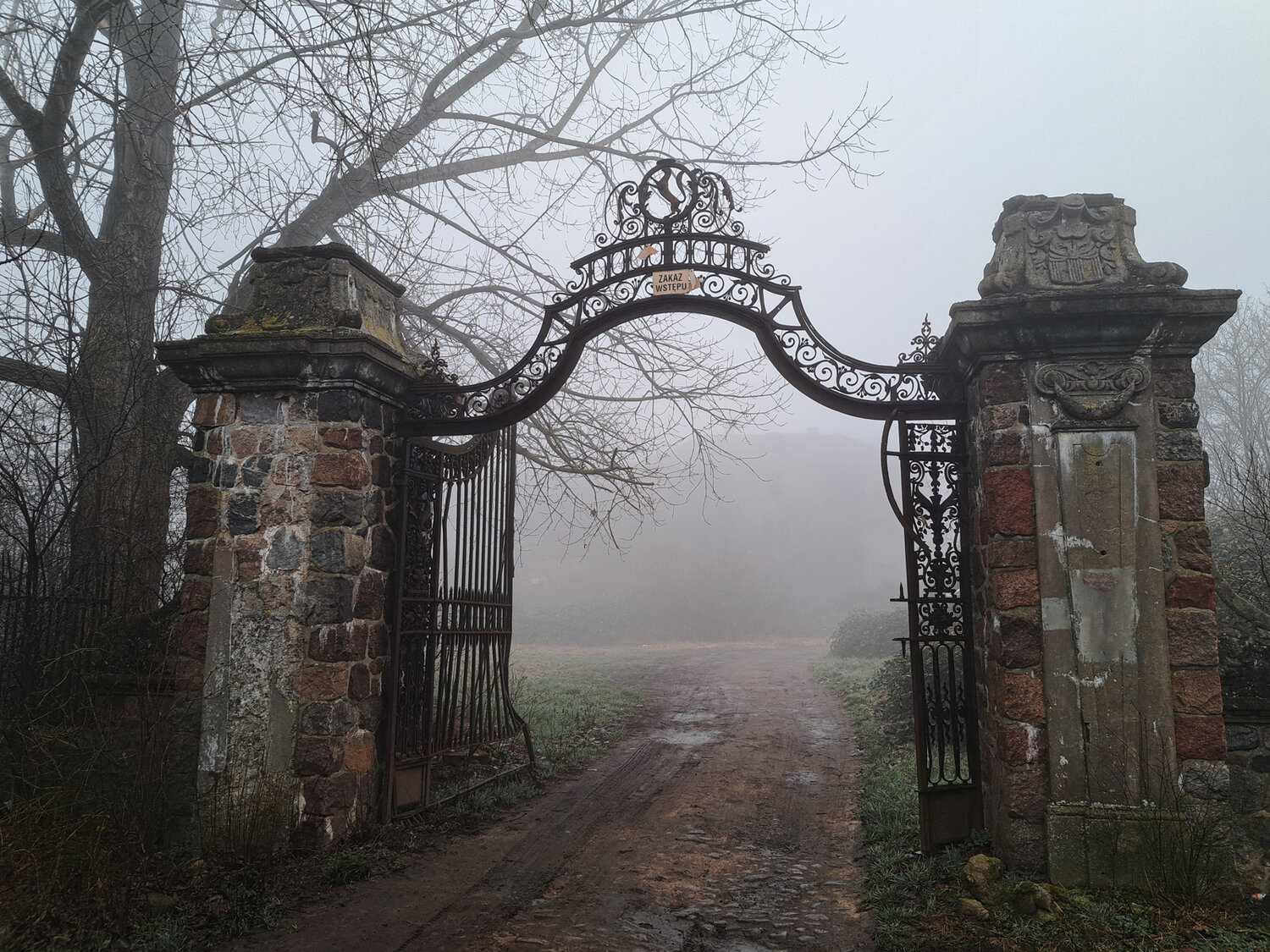 Photo #14054417