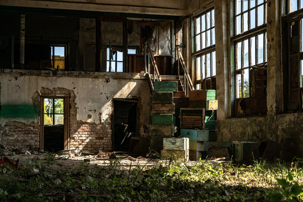 Photograph by Наталья Пилипенко