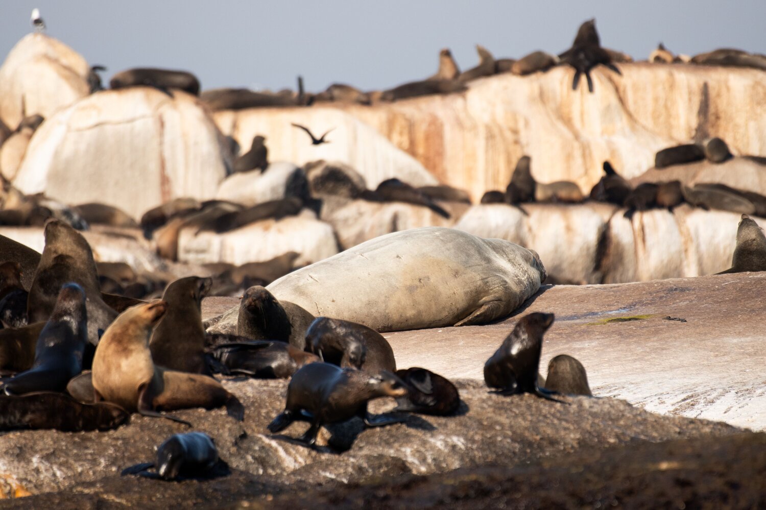 Photo #14054457