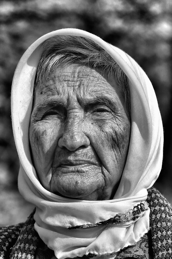 Фотография автора Ömer Sarıtas