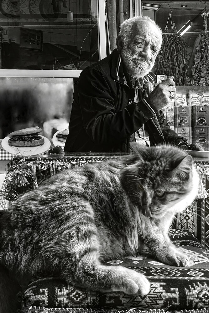 Фотография автора Ömer Sarıtas
