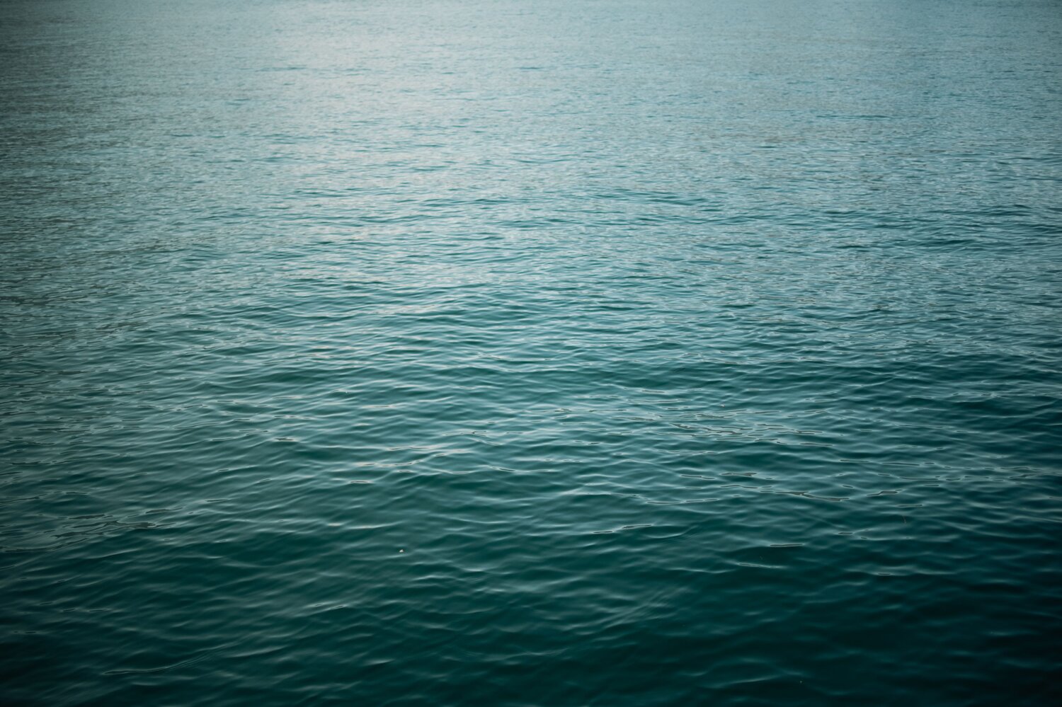 Photo #14054481