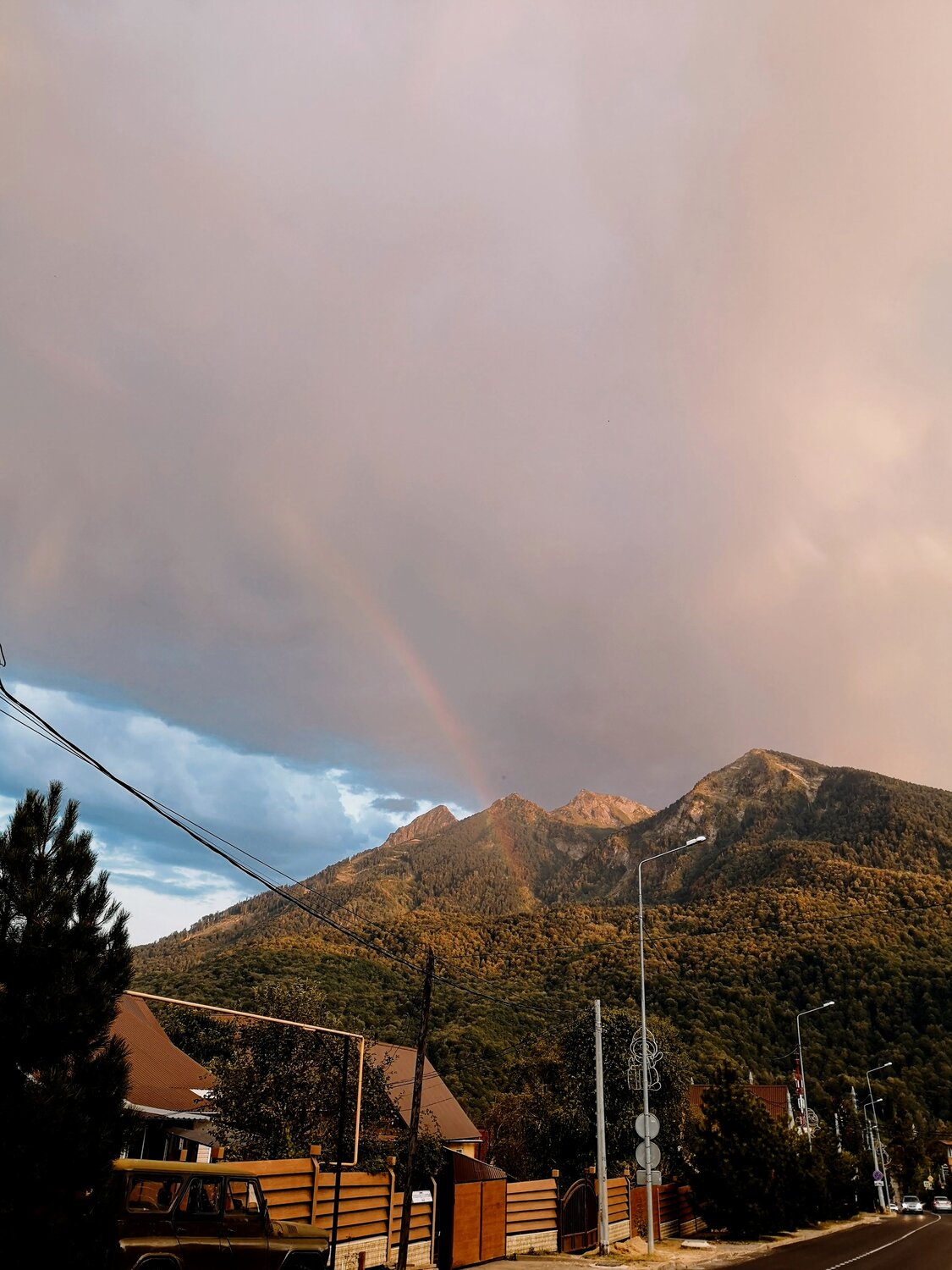 Photo #14054506