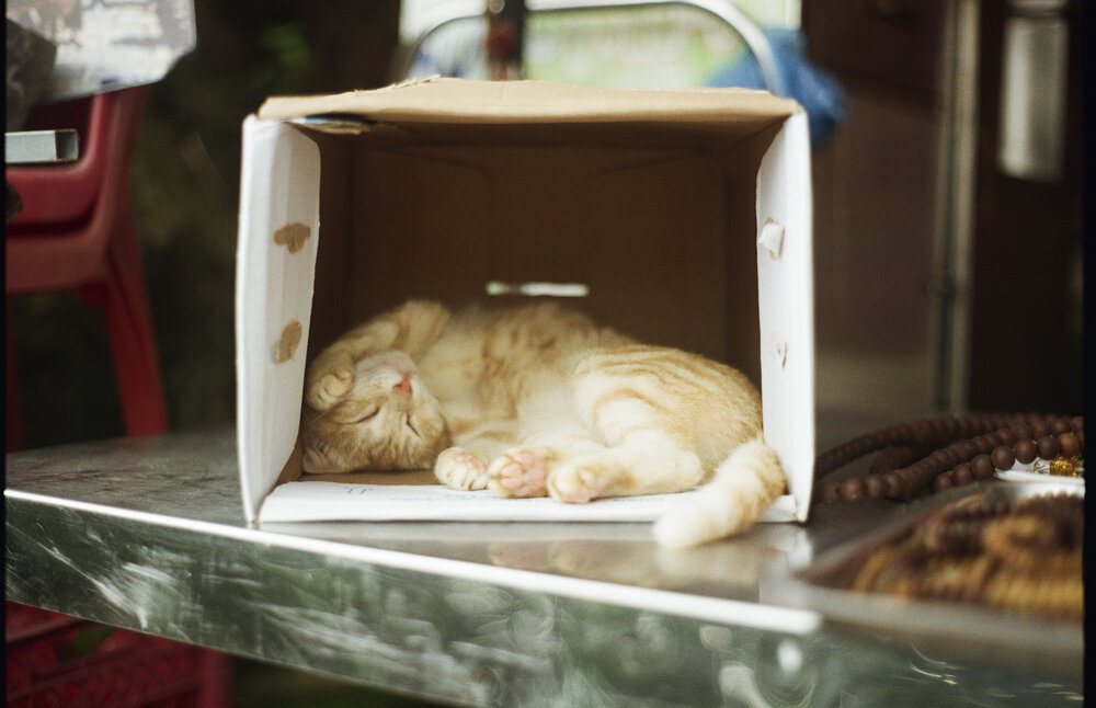 Photograph by Antoine Dupierre