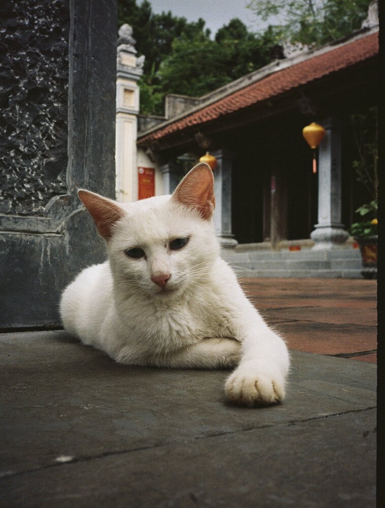Photograph by Antoine Dupierre