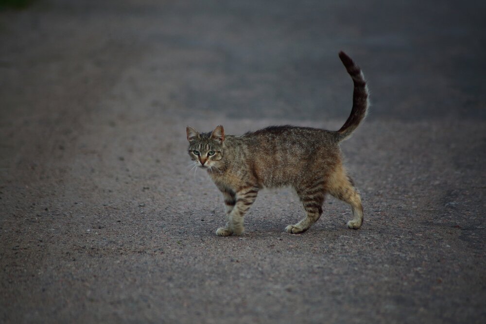 Photograph by Елена Наленч