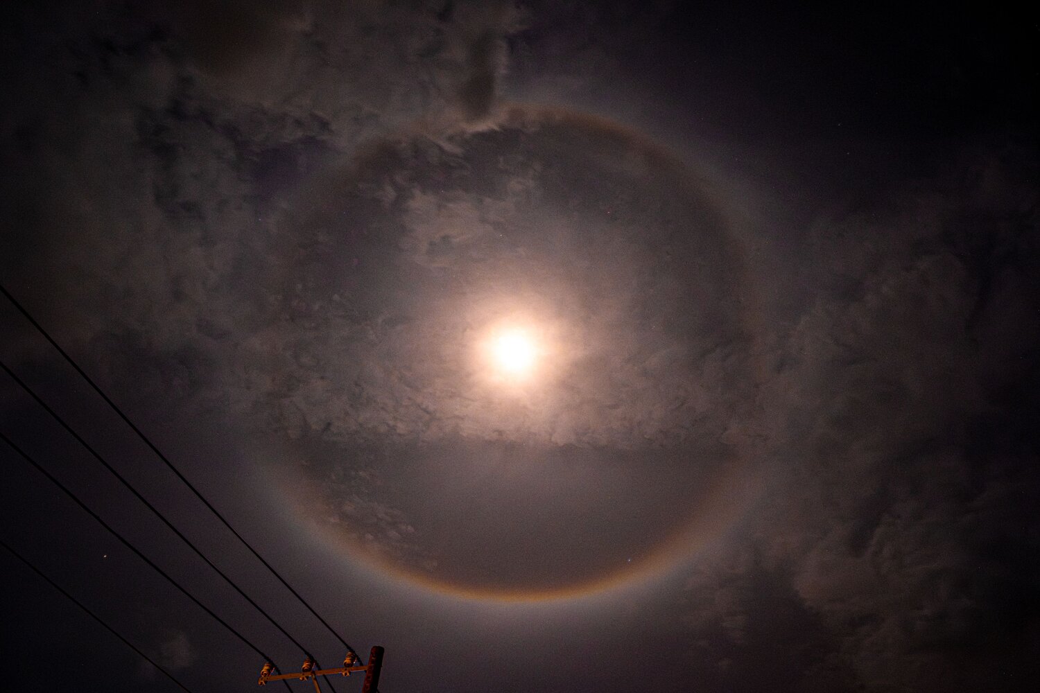 Photo #14054567