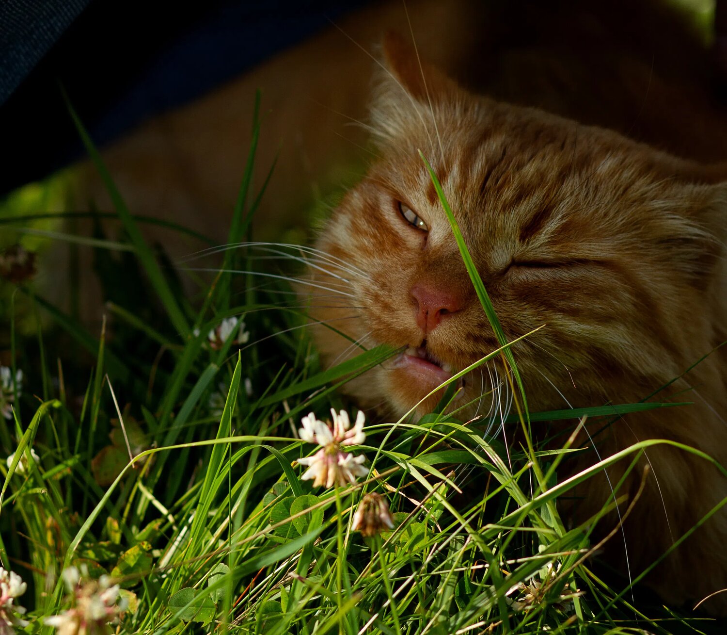 Photo #14054655