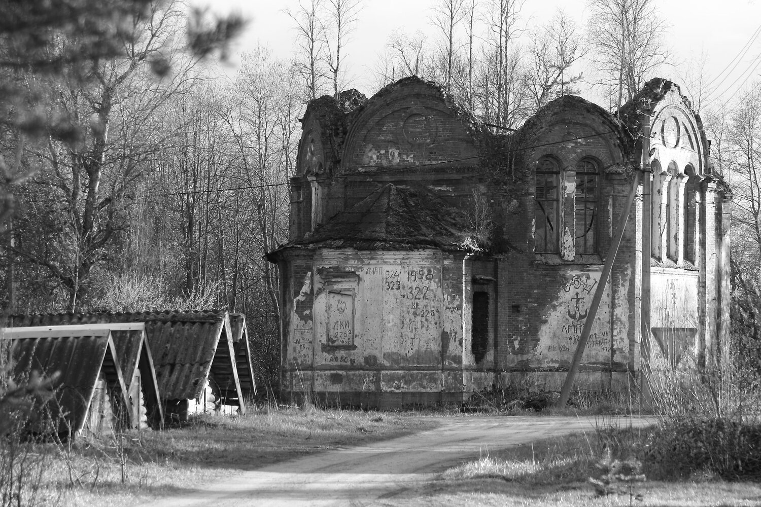 Photo #14054668