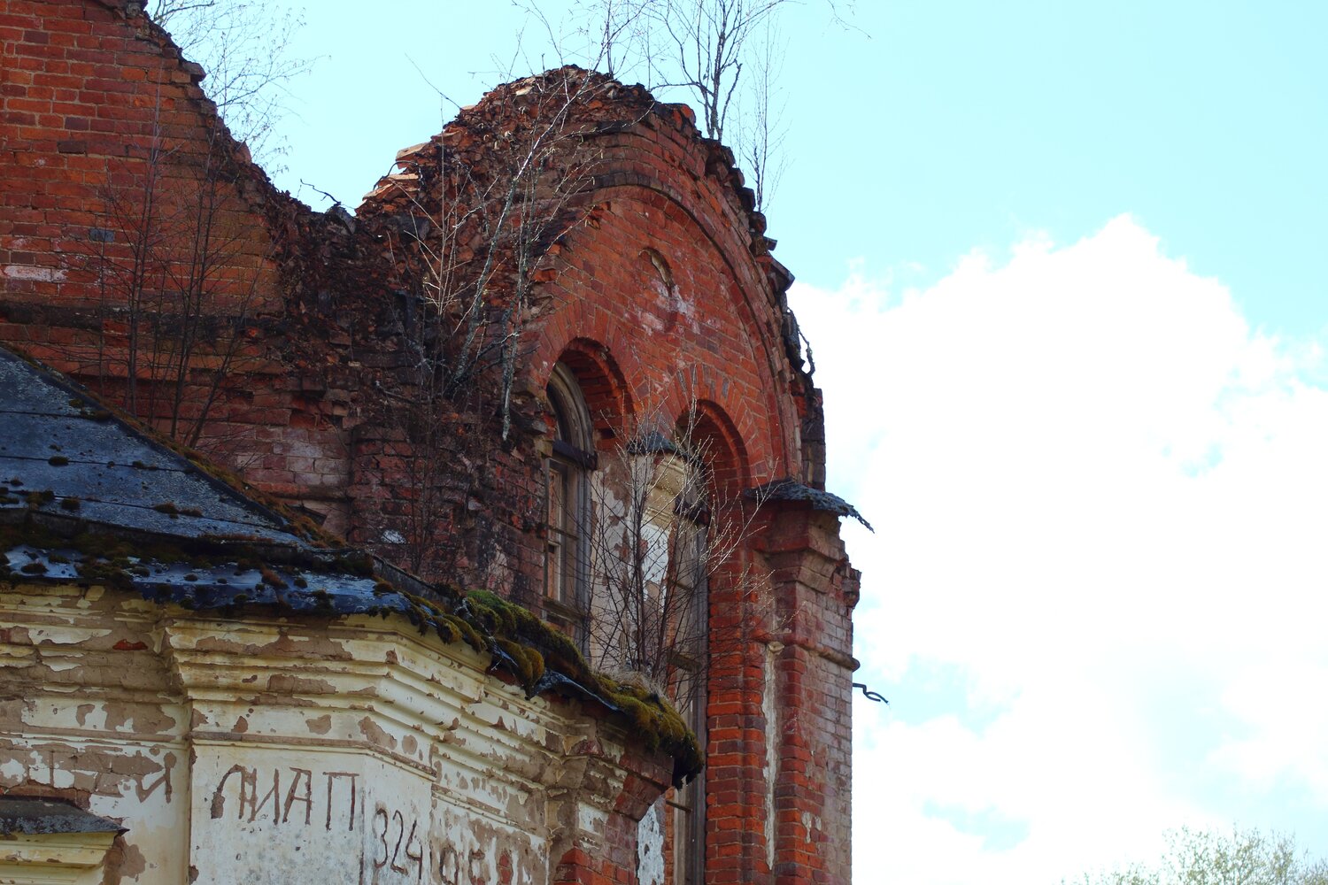 Photo #14054676