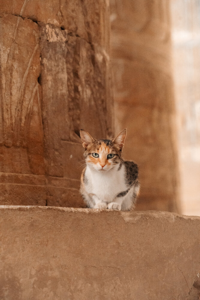 Photograph by Aliaksandra Babko