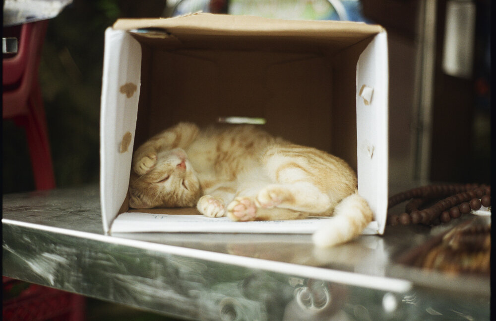 Photograph by Antoine Dupierre