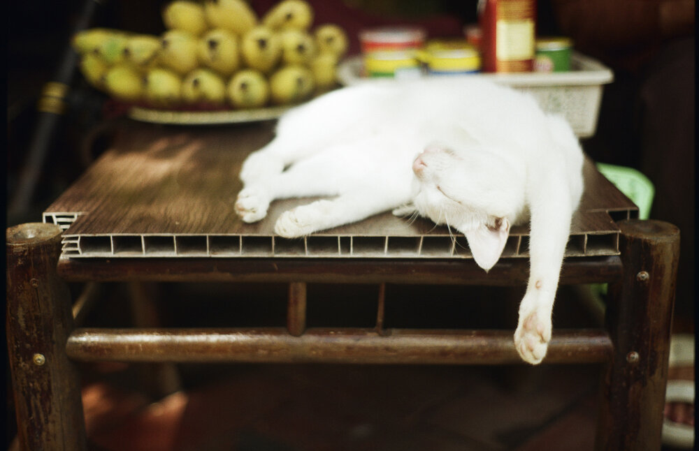 Photograph by Antoine Dupierre