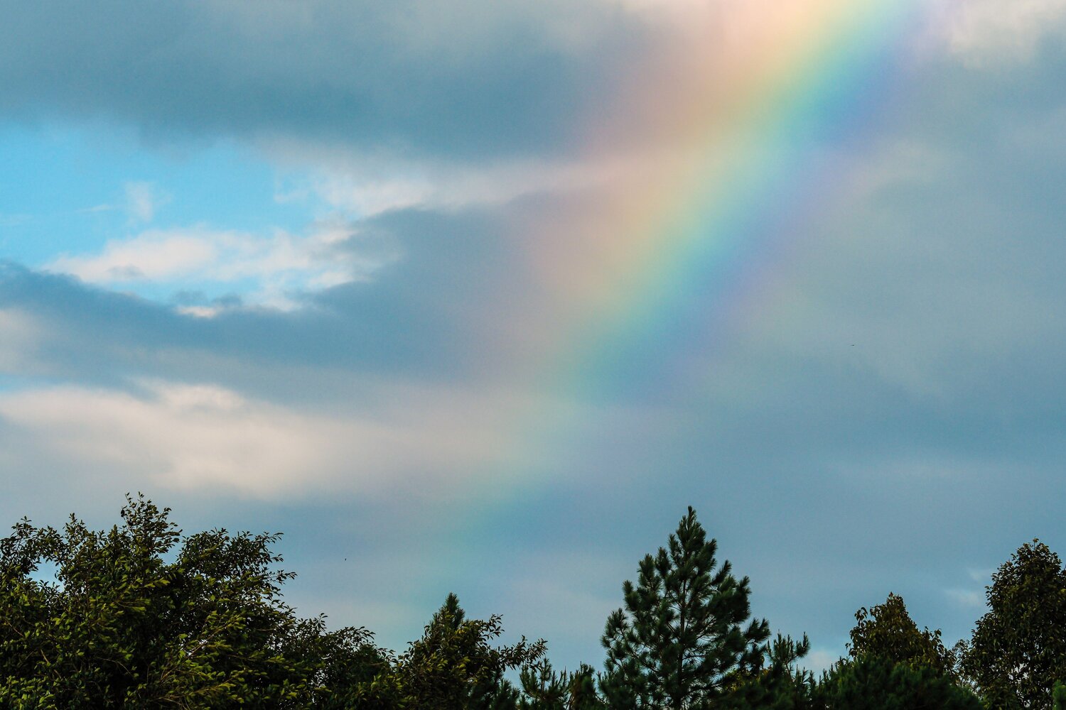 Photo #14054712