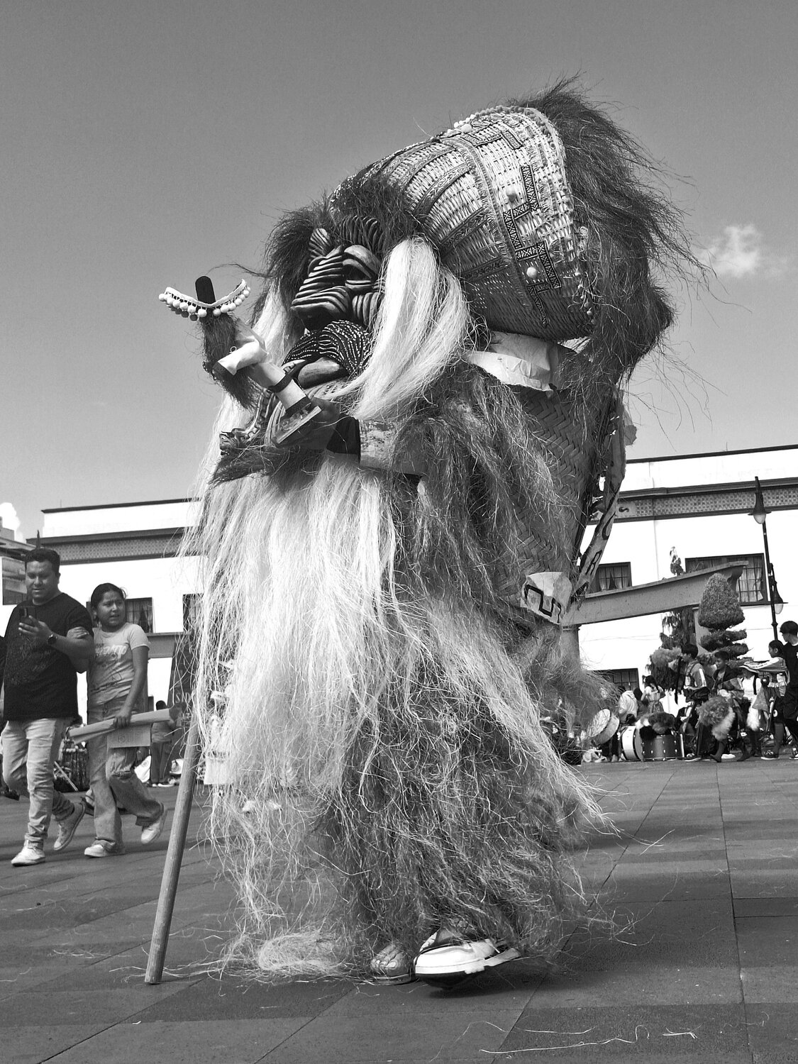 Photo #14054750