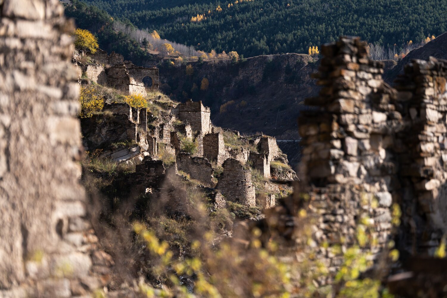 Фотография #14054819