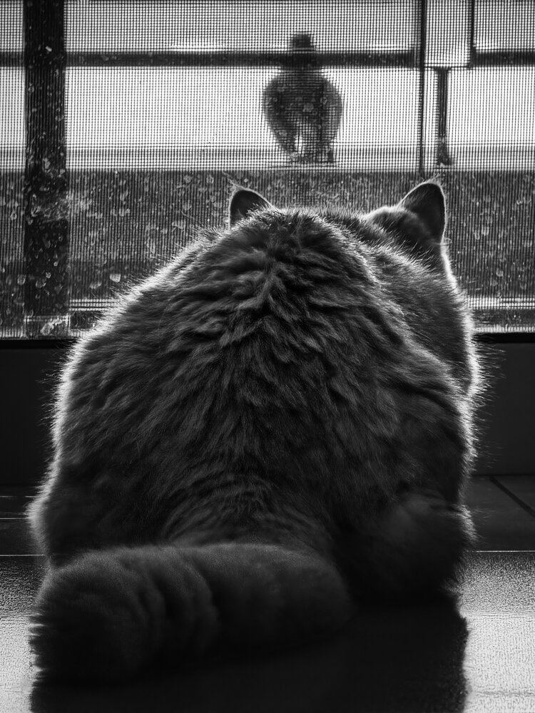 Basic instinct