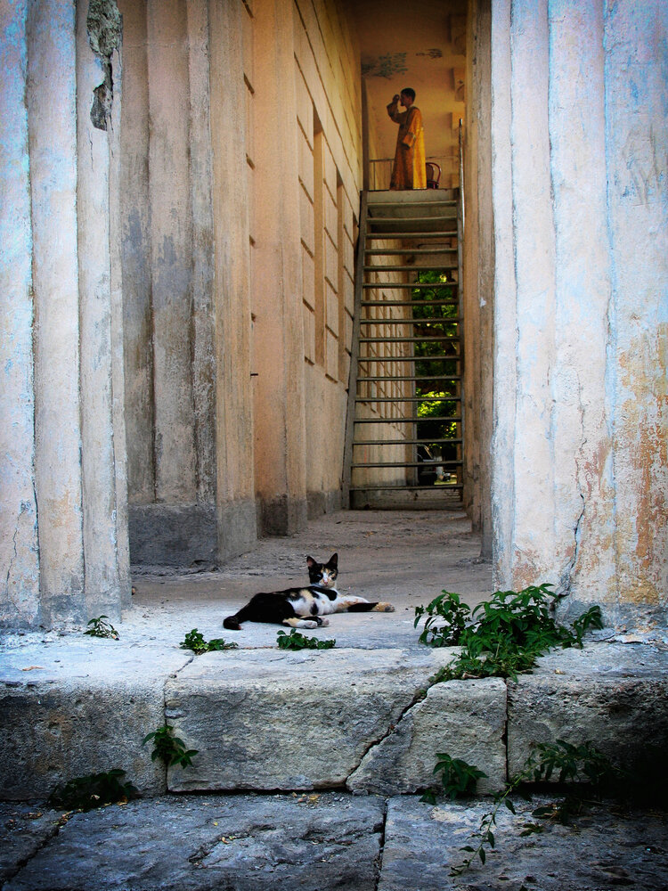 Photograph by Олег Красиков