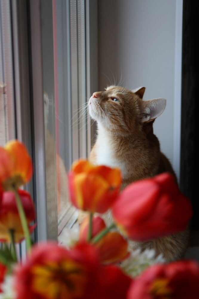 Photograph by Галкина Екатерина
