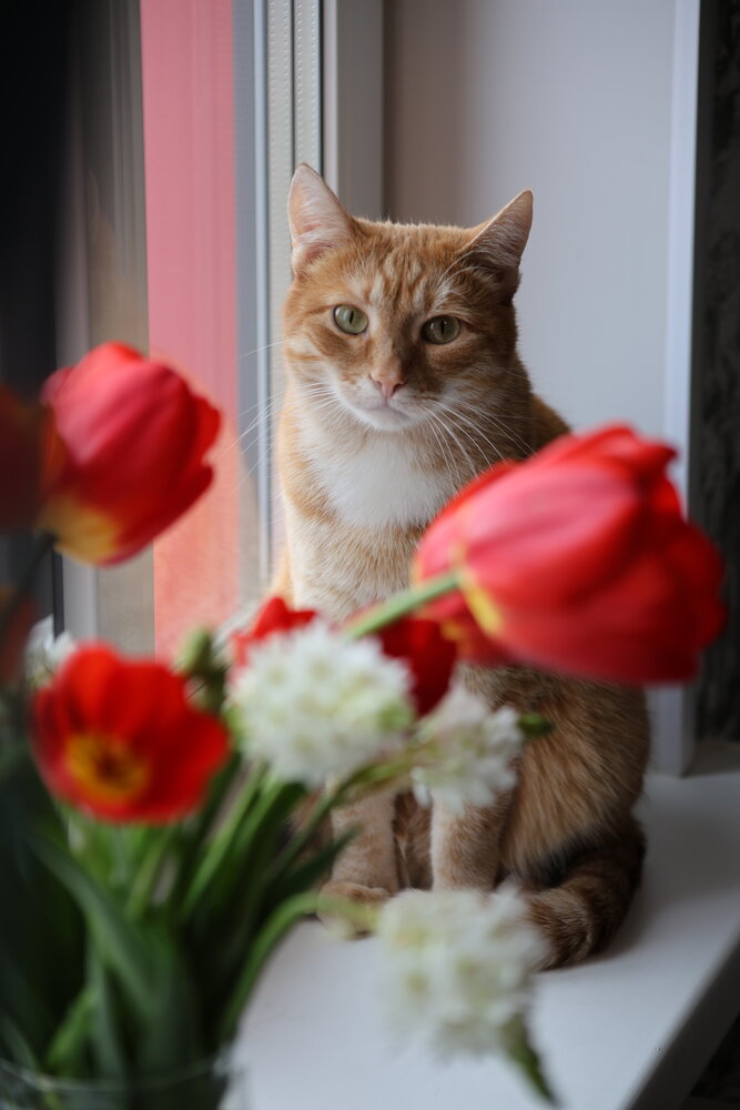 Photograph by Галкина Екатерина