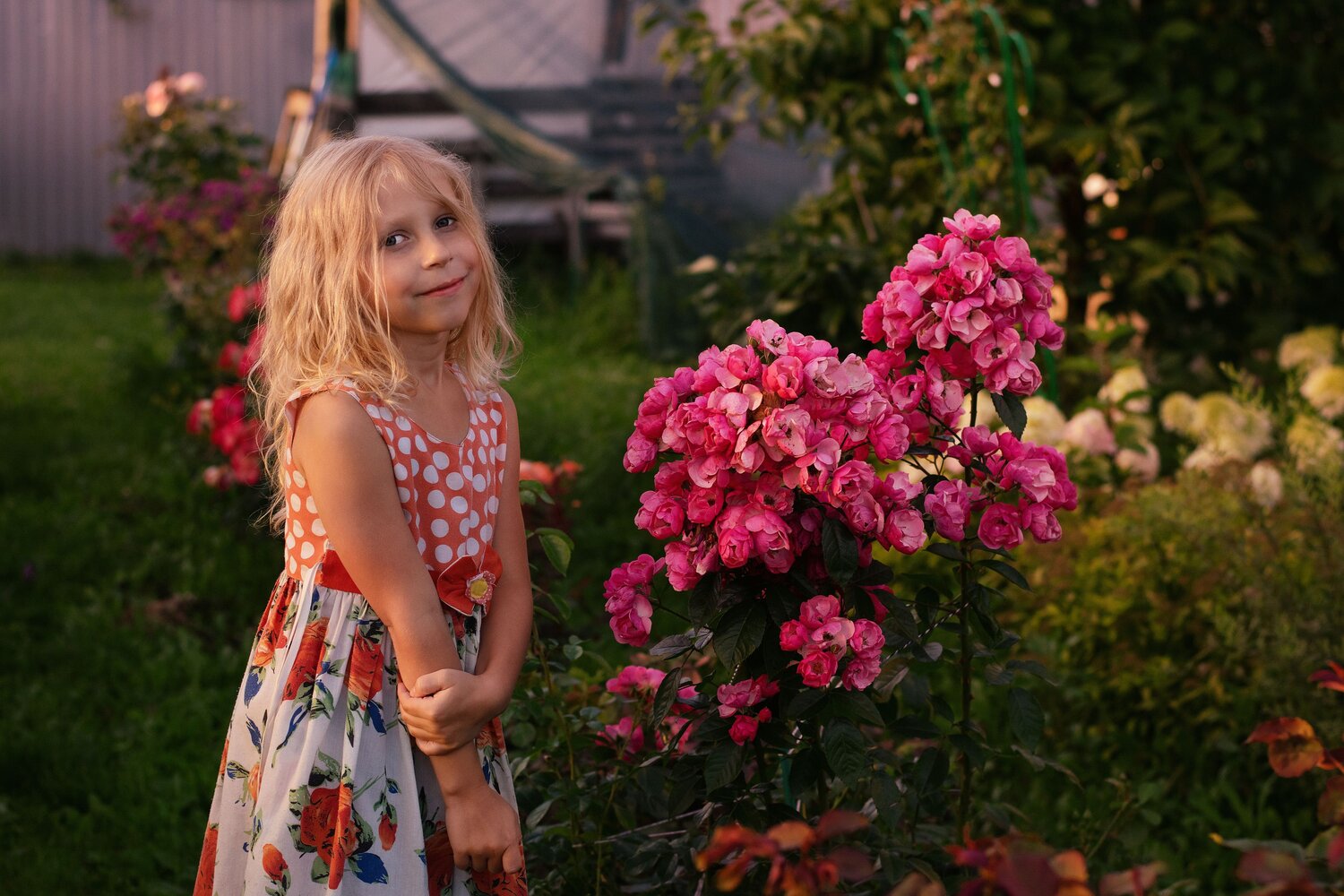 Photo #14054904