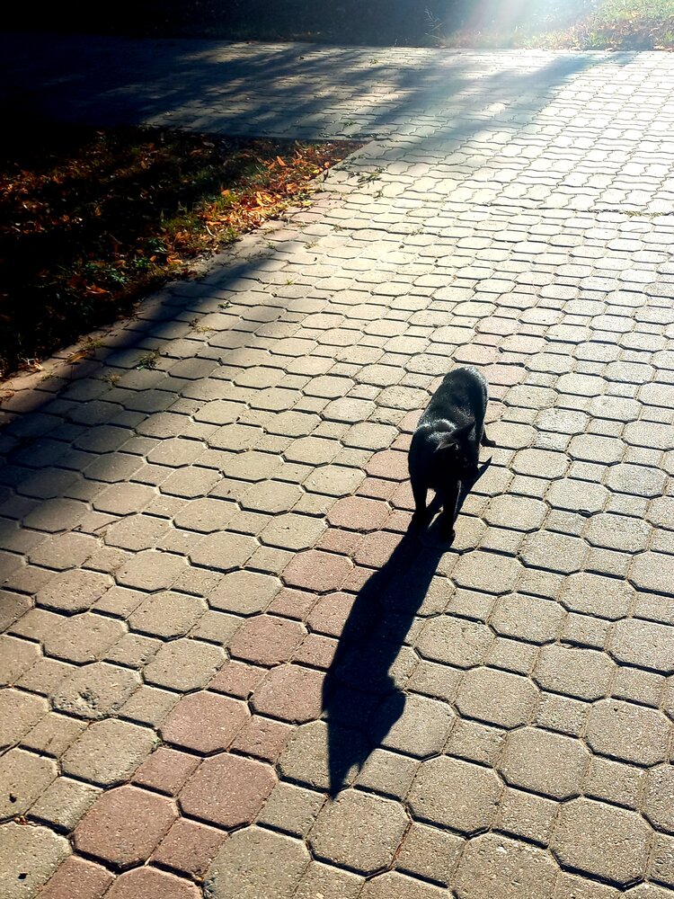 Photograph by Елена Никитина