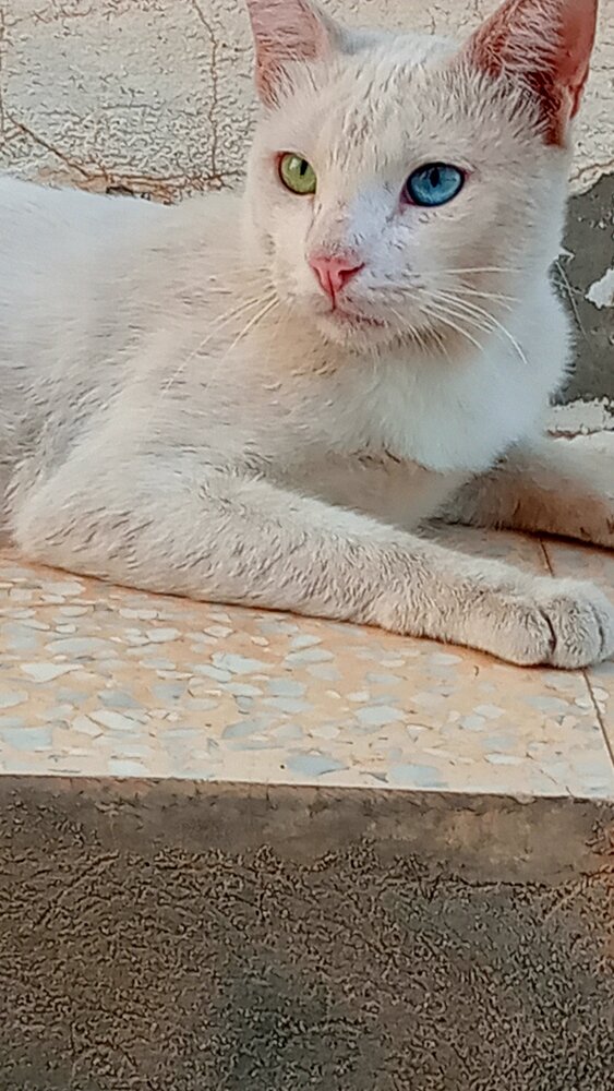 Фотография автора Kheria Mkadem