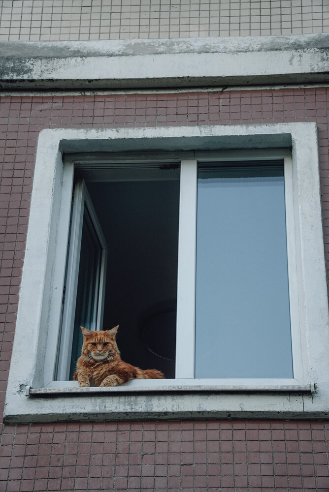 Photograph by Ирина Шауро