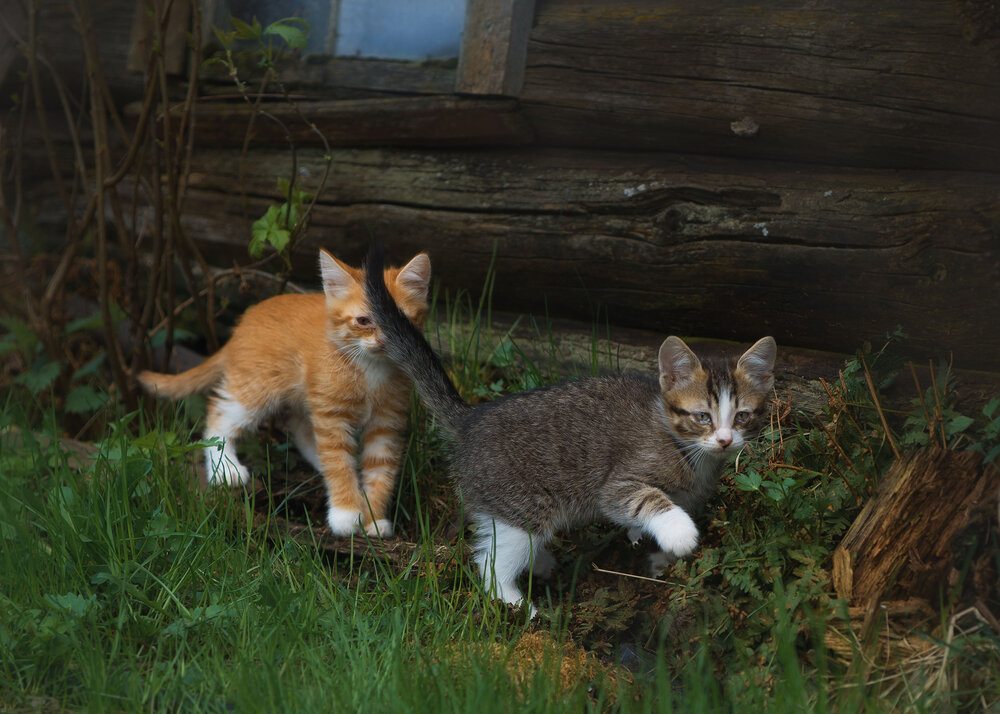 Photograph by Ольга Лобачёва