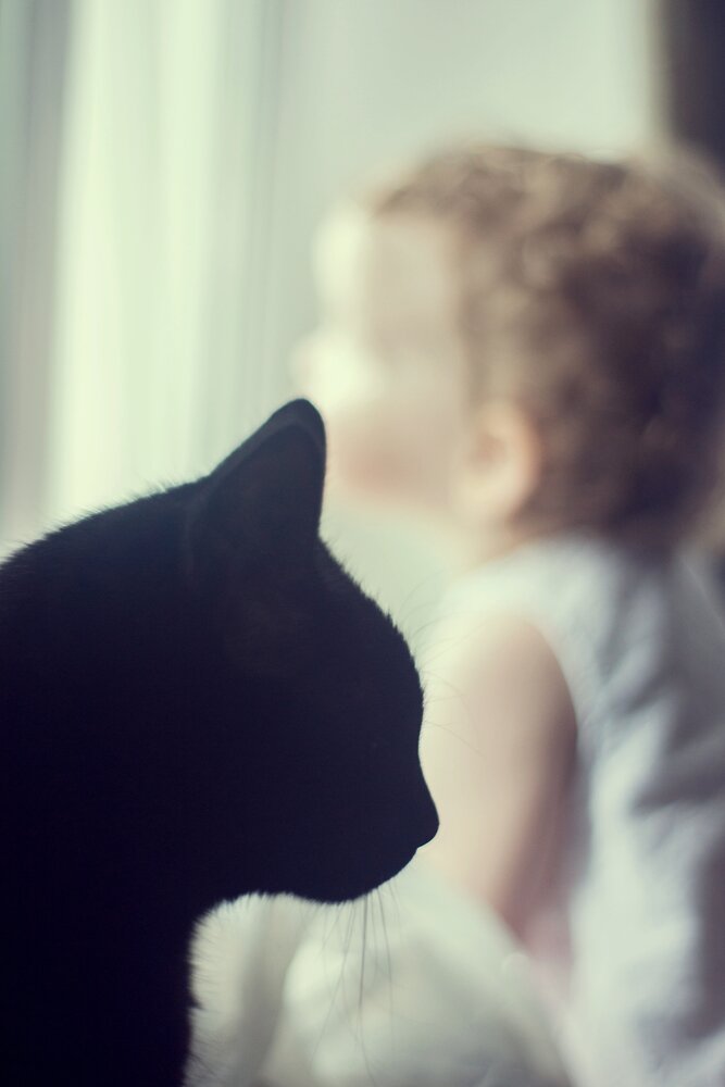 Photograph by Юлия Веткова