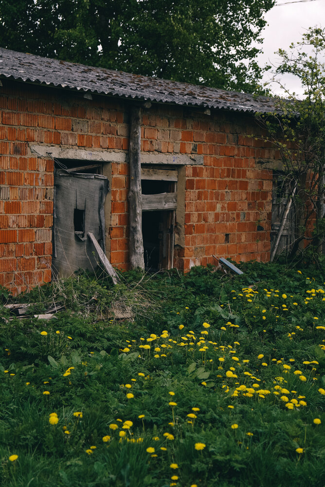Photograph by Ирина Шауро