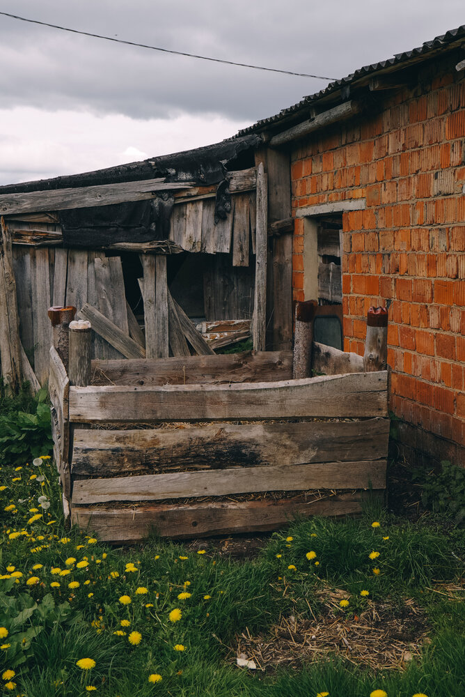 Photograph by Ирина Шауро